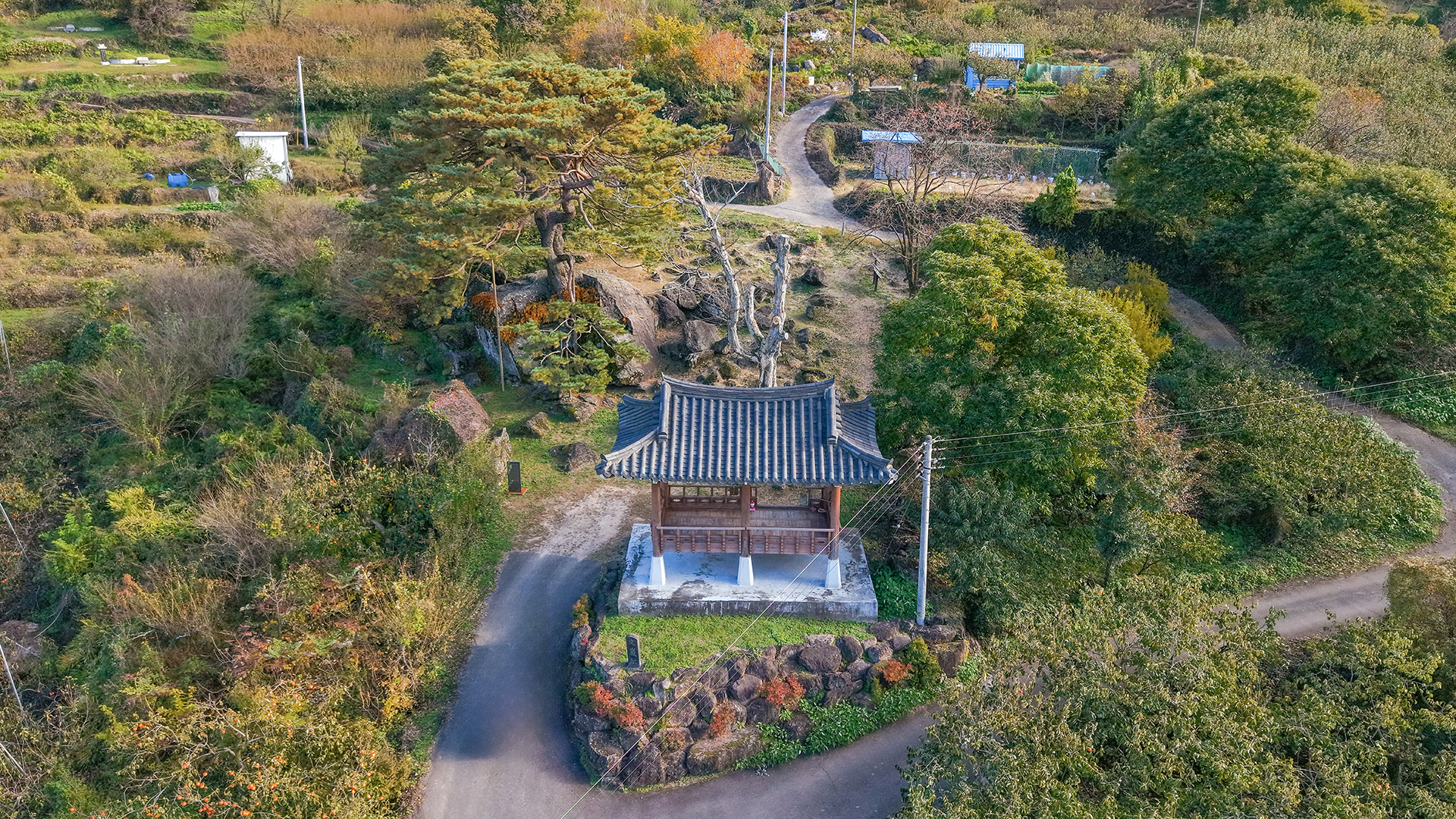 하동 축지리 문암송